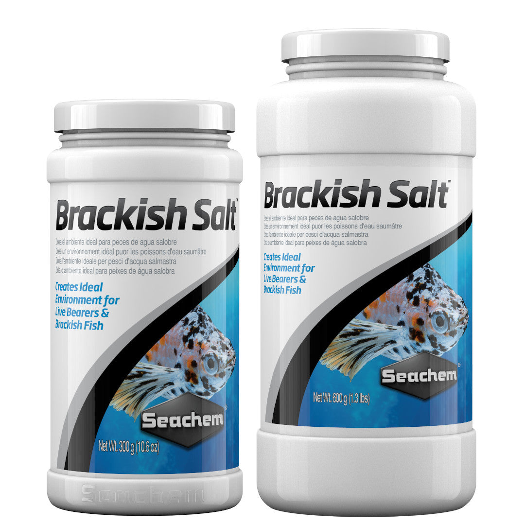 Fish Food for Brackish Tanks: Top Nutritious Picks Revealed