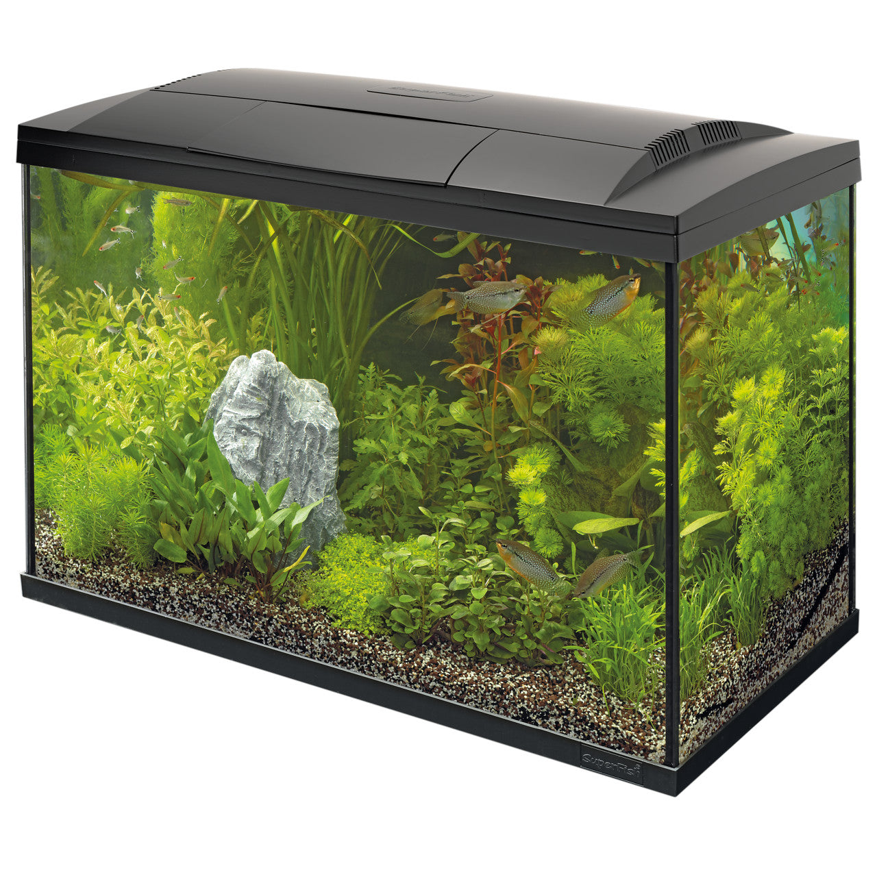 Superfish Start 100 Aquarium Kit