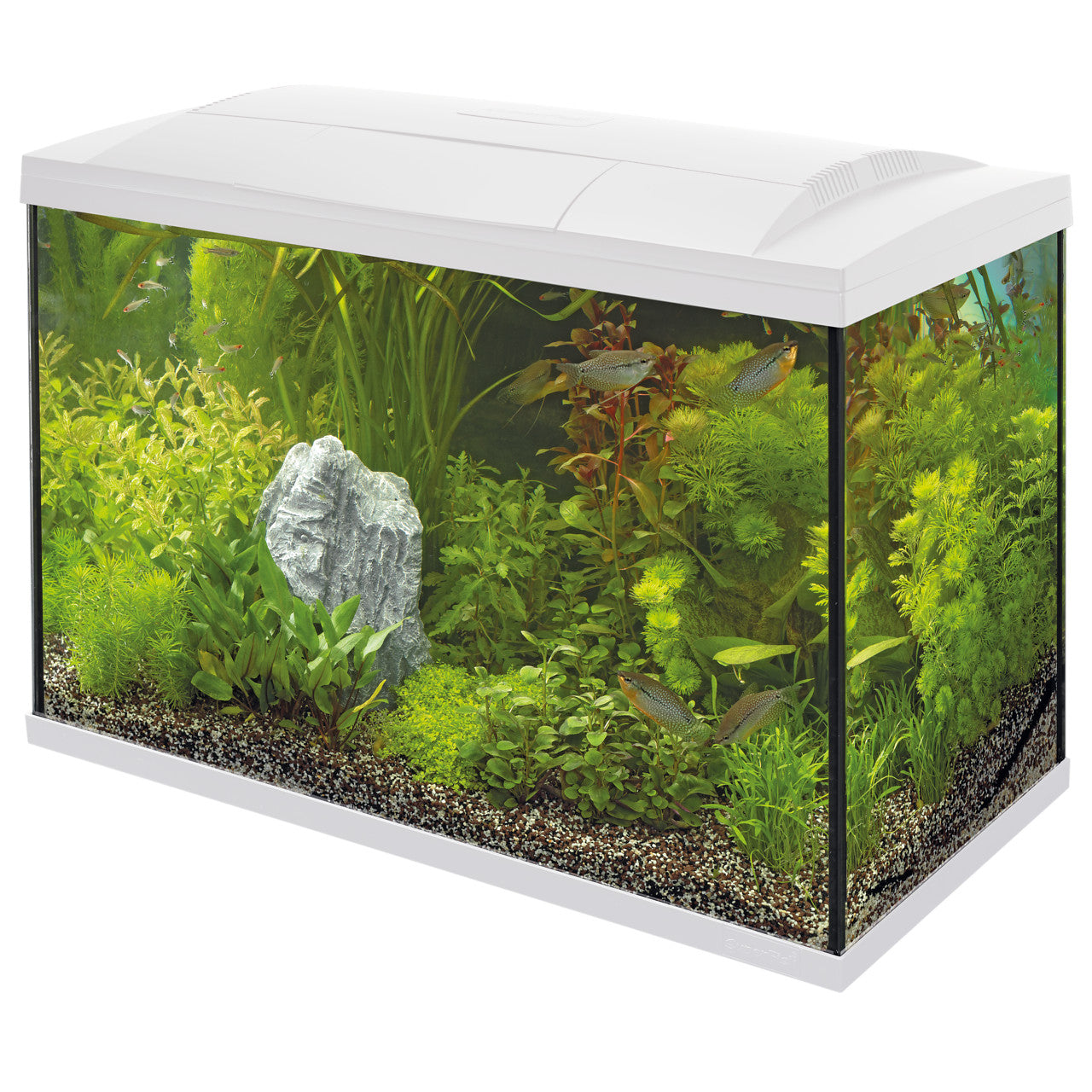 Superfish Start 100 Aquarium Kit