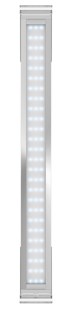Superfish Scaper LED Lighting