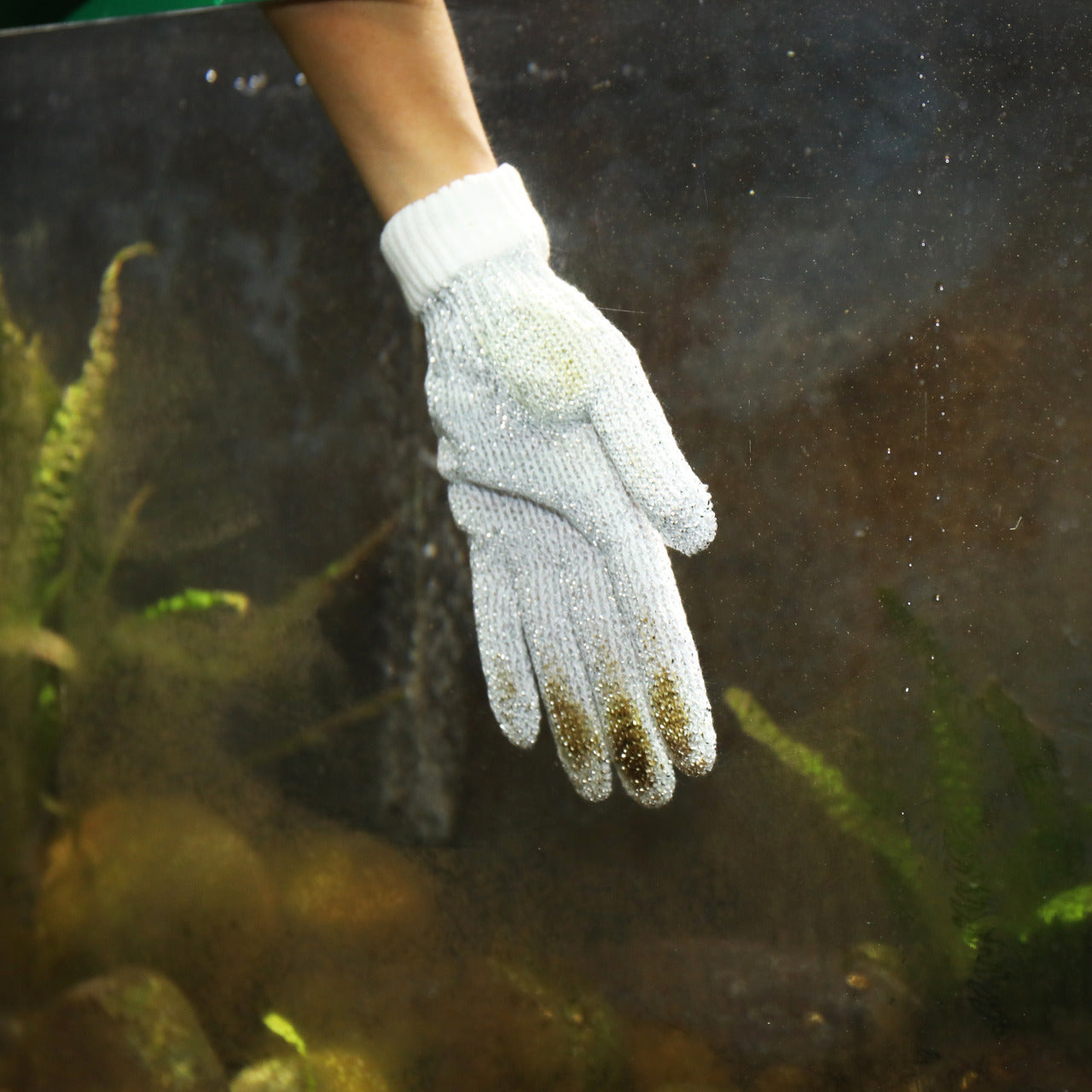 JBL ProScape Cleaning Glove