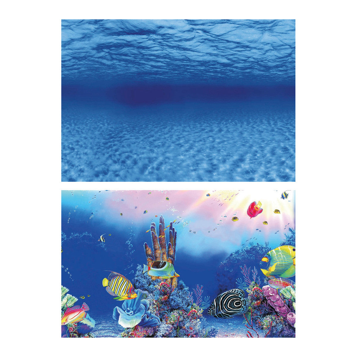 Superfish Deco Poster F