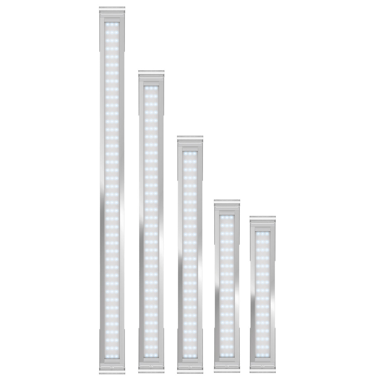 Superfish Scaper LED Lighting