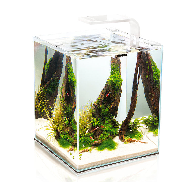 Aquael Shrimp Set Day & Night
