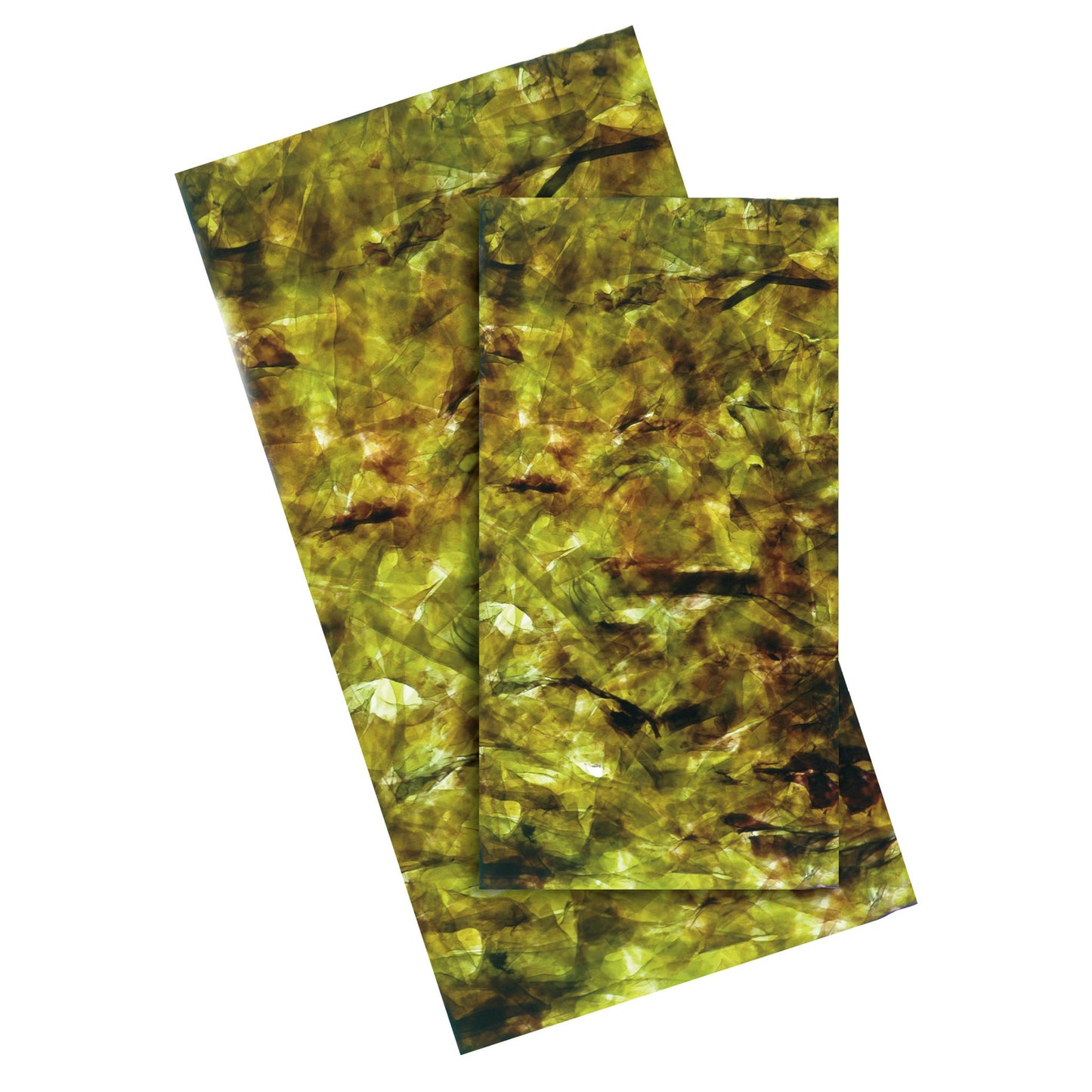 Dennerle Nano Algae Wafers