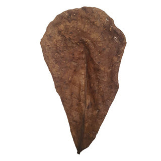 Ceramic Nature Catappa Leaves XL