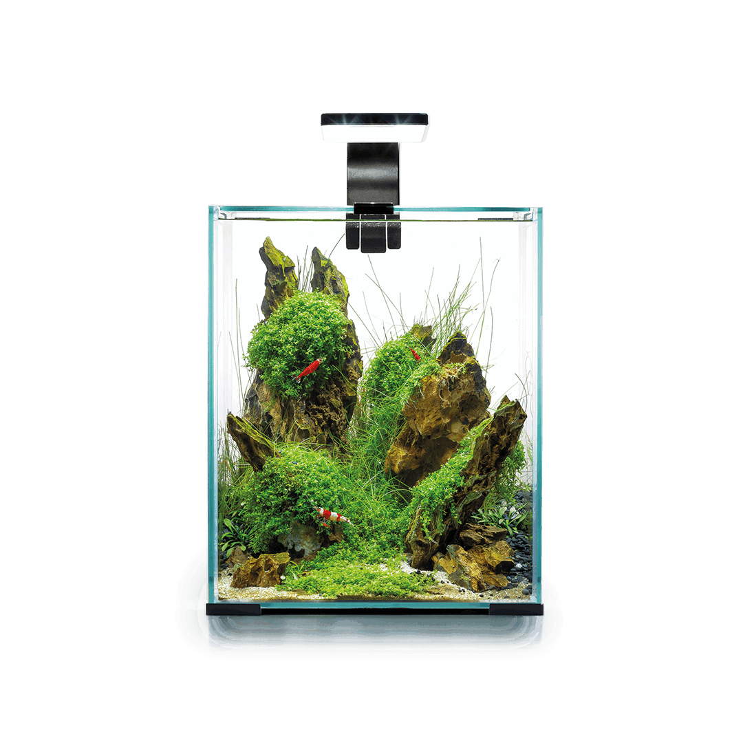 Aquael Shrimp Set Day & Night