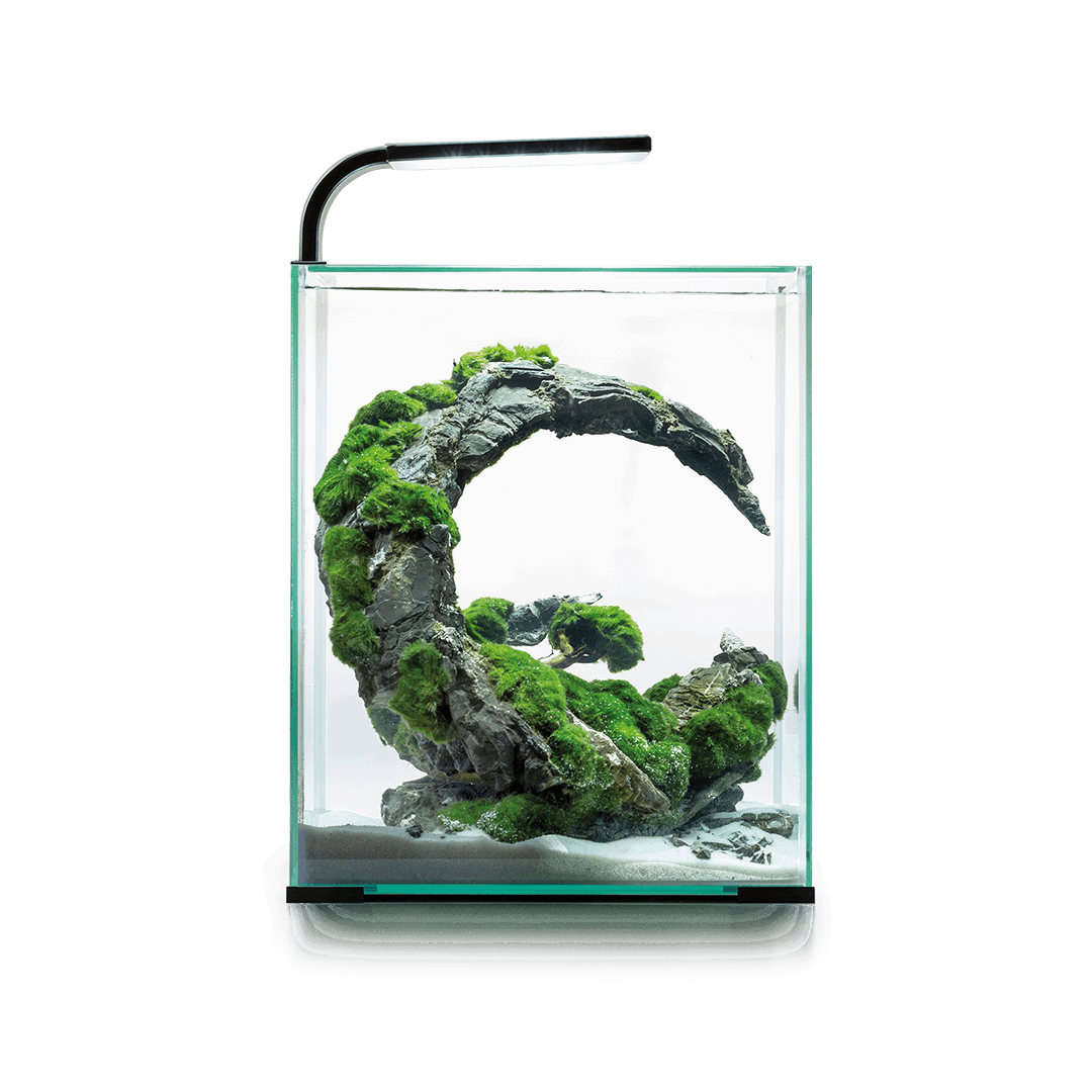 Aquael Shrimp Set Day & Night