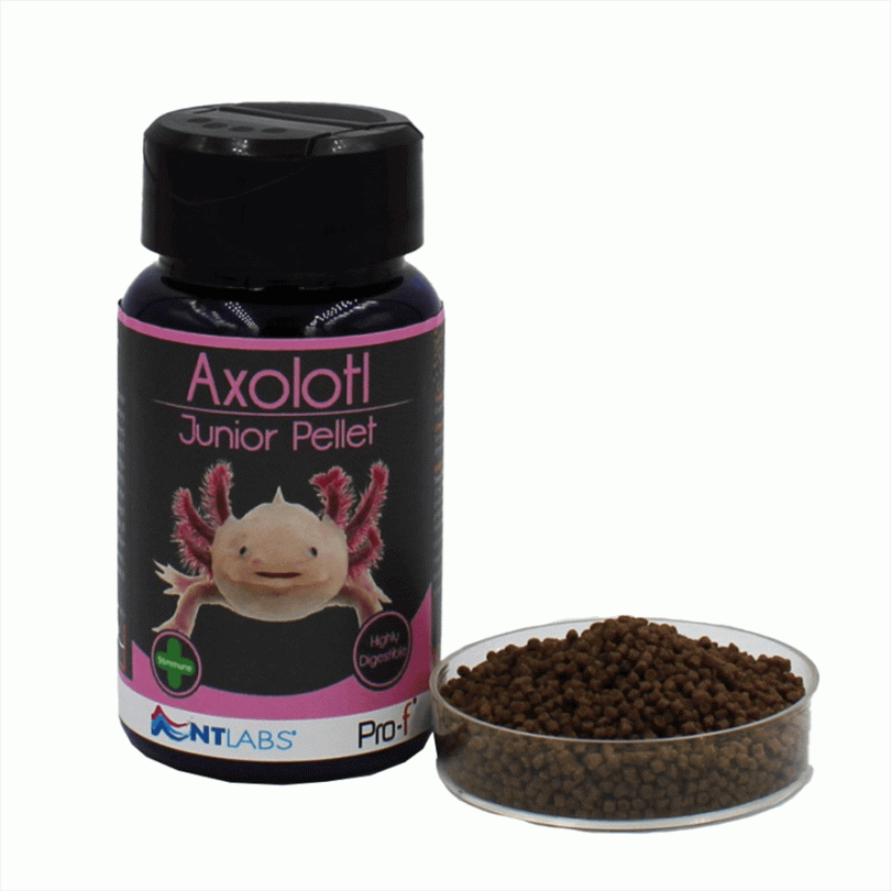 NT Labs Pro-F Axolotl Pellets