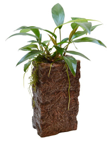 Deco Stone L Anubias Aquafleur