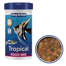 King British Tropical Fish Food Mix 25g