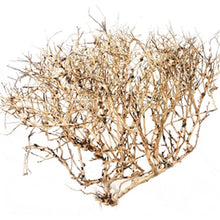 Ramous Wood 20-45cm