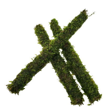 Bamboo Stick Java Moss 20cm AQUADIP