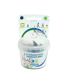 Aquafleur Alternanthera reineckii Easy Grow