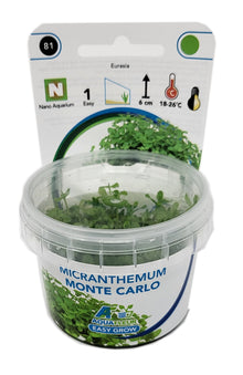 Aquafleur Micranthemum Monte Carlo Easy Grow