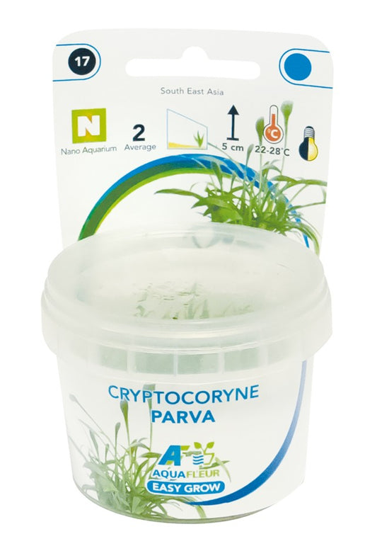 Aquafleur Cryptocoryne parva Easy Grow