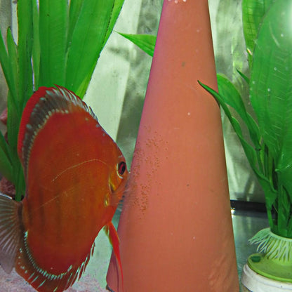JBL DisCon - Discus Spawning Cone