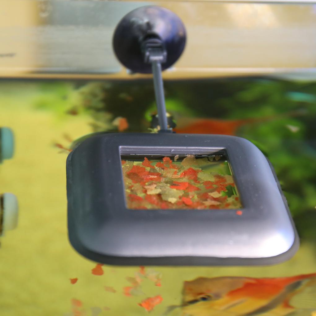 JBL NovoStation Feeding Ring
