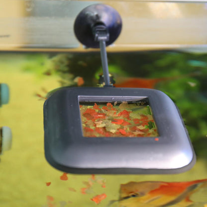 JBL NovoStation Feeding Ring