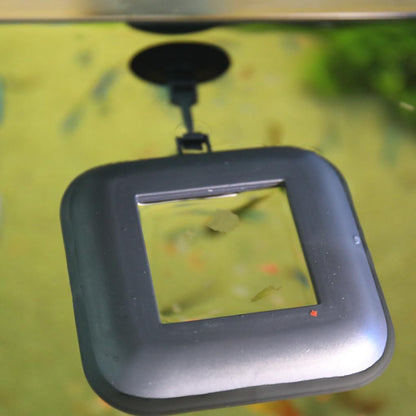 JBL NovoStation Feeding Ring