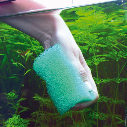 JBL Spongi Cleaning Sponge