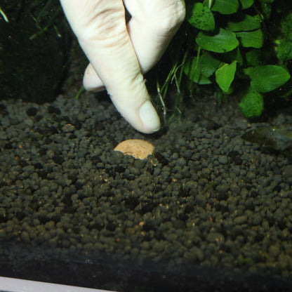 JBL The 7 Balls Clay Root Fertiliser