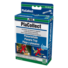 JBL PlaCollect Planaria Trap