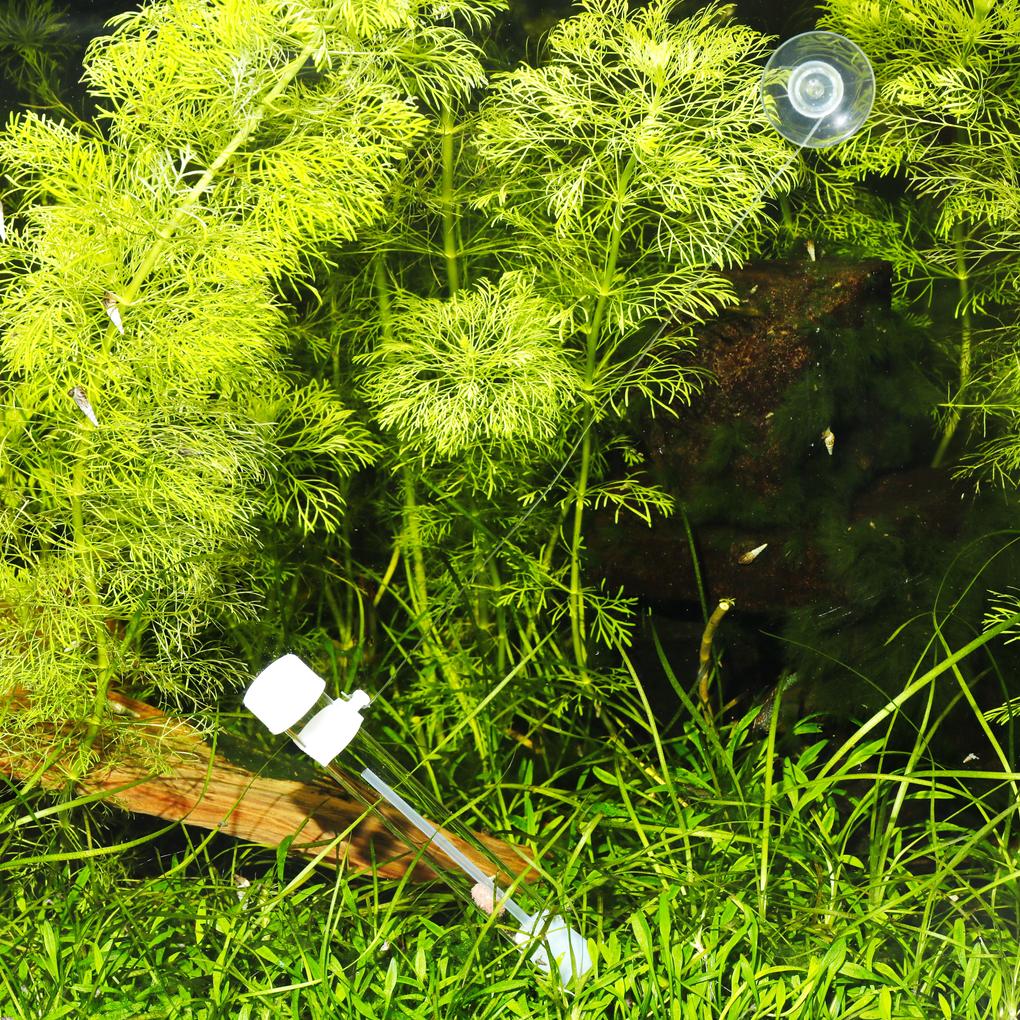 JBL PlaCollect Planaria Trap