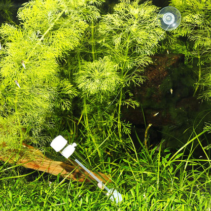 JBL PlaCollect Planaria Trap
