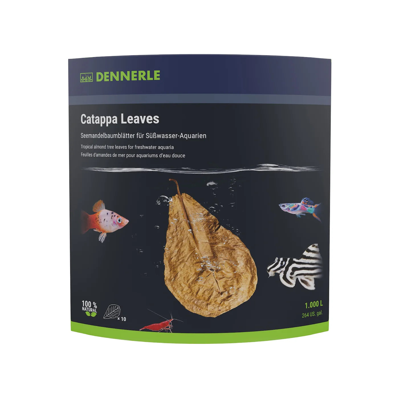 Dennerle Catappa Leaves