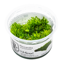 Tropica Riccardia chamedryfolia 1-2-GROW