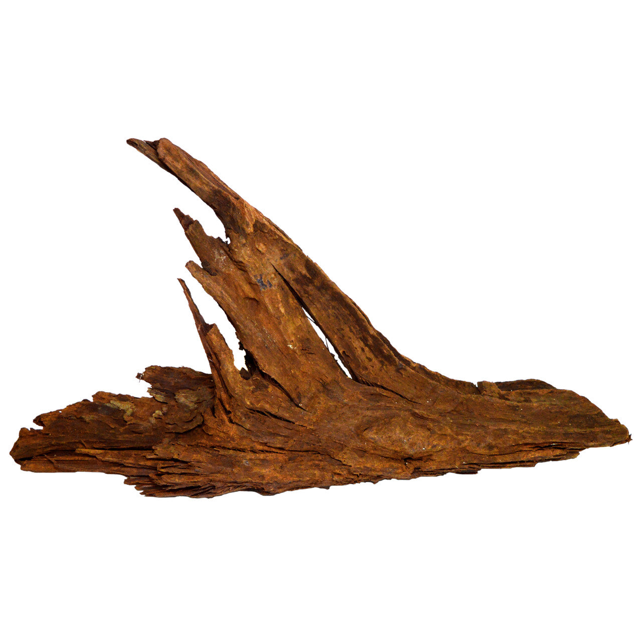 Driftwood 10-60cm
