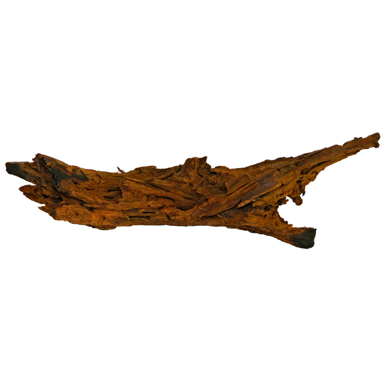 Driftwood 10-60cm