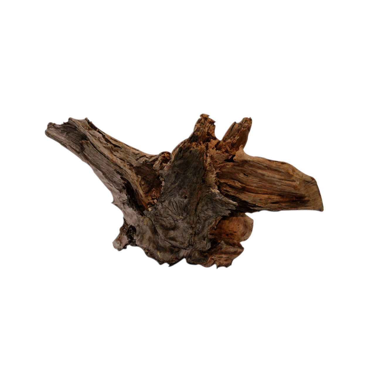 Driftwood 10-60cm