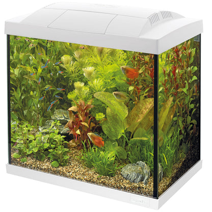 Superfish Start 50 Aquarium Kit