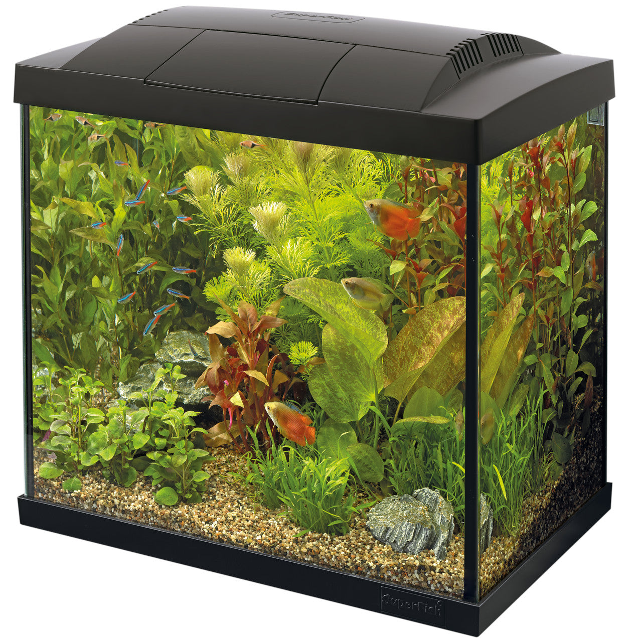 Superfish Start 50 Aquarium Kit