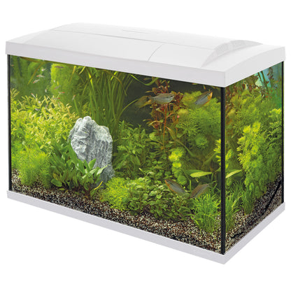 Superfish Start 70 Aquarium Kit