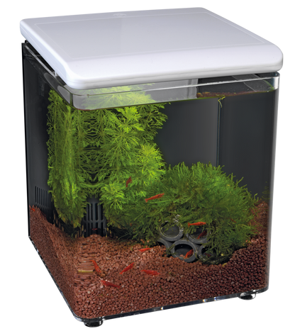 Superfish Home 8 Aquarium