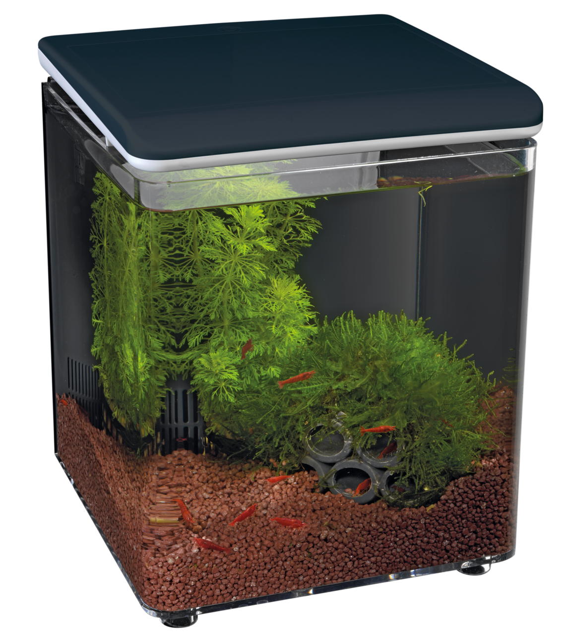 Superfish Home 8 Aquarium