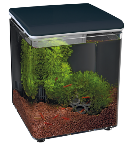 Superfish Home 8 Aquarium