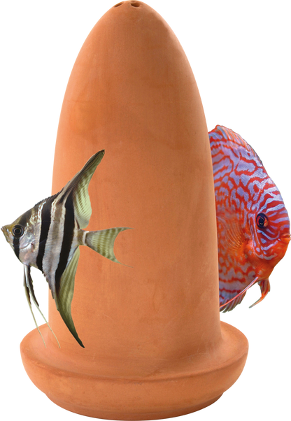 Superfish Spawning Cone