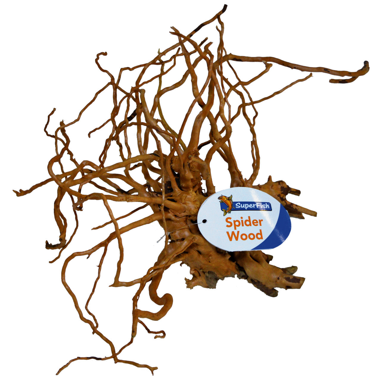 Spiderwood 20-60cm