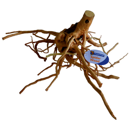 Spiderwood 20-60cm