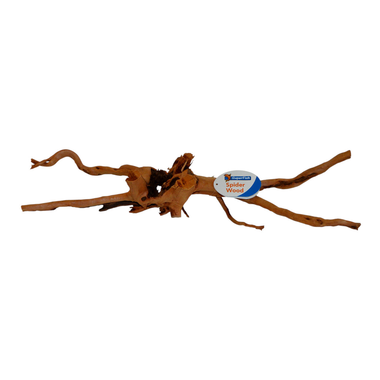 Spiderwood 20-60cm