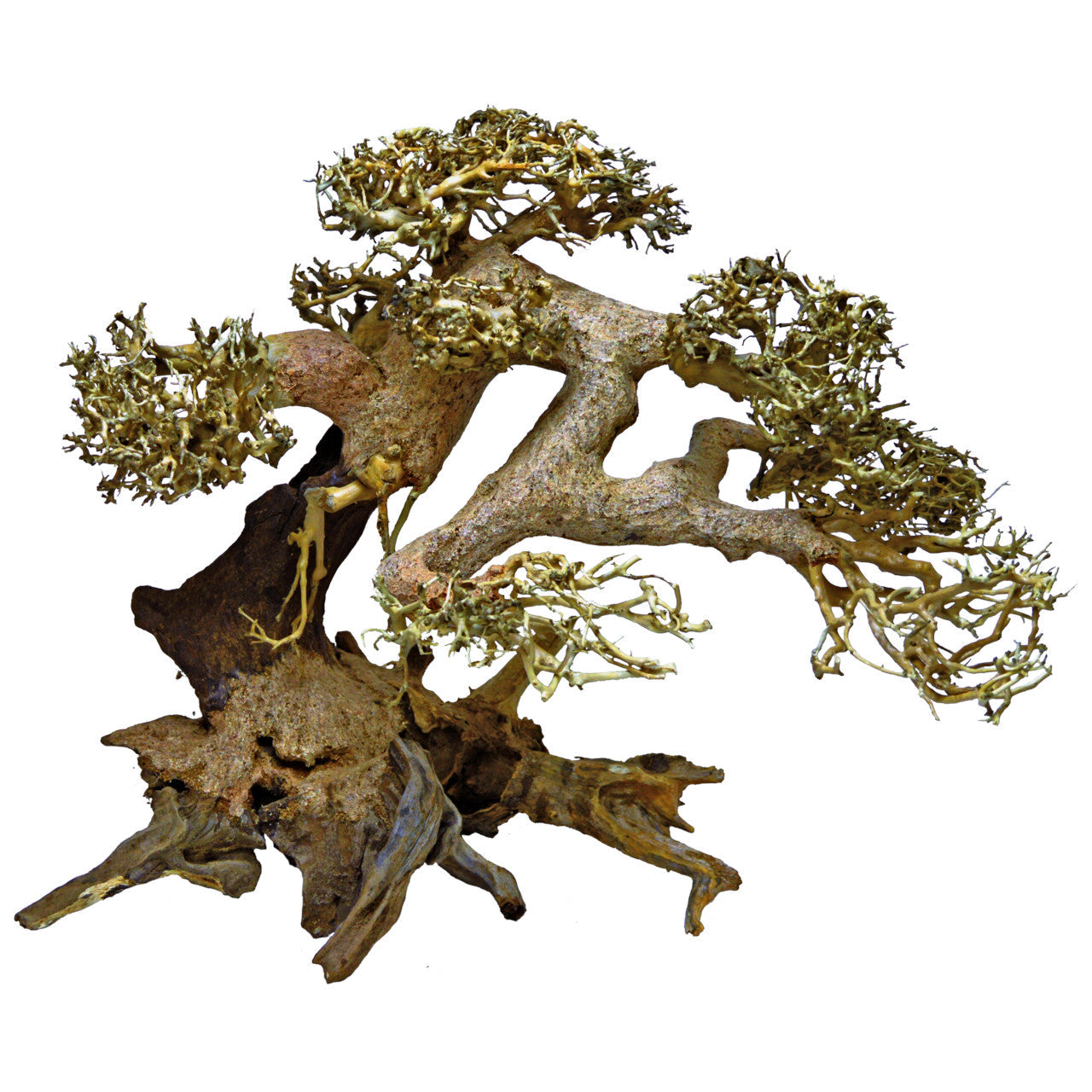 aquarium bonsai tree uk Superfish Bonsai Tree Driftwood