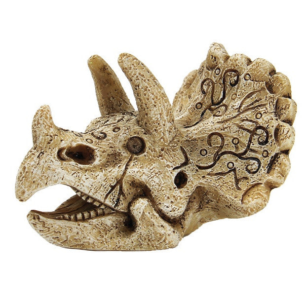 Superfish Skull Triceratops