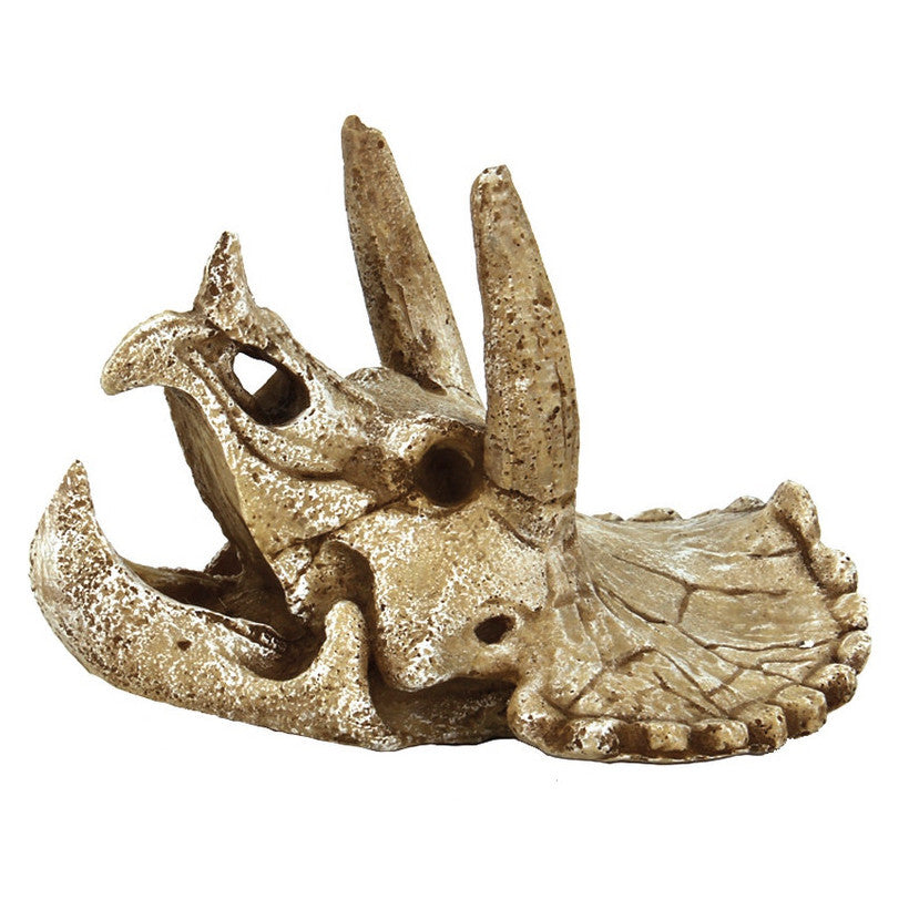 Superfish Skull Triceratops