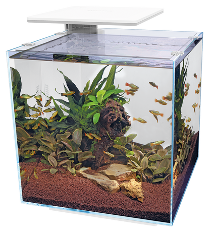 Superfish Qubiq 60 Pro LED