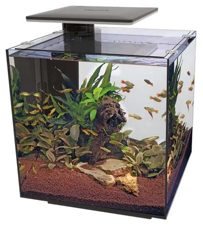 Superfish Qubiq 60 Pro LED