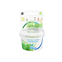 Aquafleur Glossostigma elatinoides Easy Grow